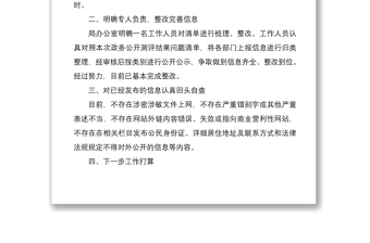 2021政务公开自查报告2篇