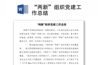 2021“两新”组织党建工作总结