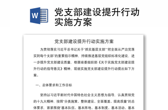 2021党支部建设提升行动实施方案