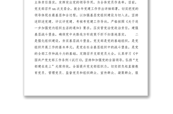 2020年党支部书记抓党建述职评议考核工作报告