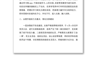 党支部2020年一季度党建工作总结及下步工作打算（党建总结、党建汇报、党建计划）