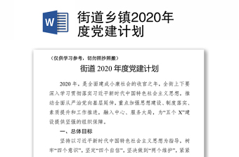 街道乡镇2020年度党建计划
