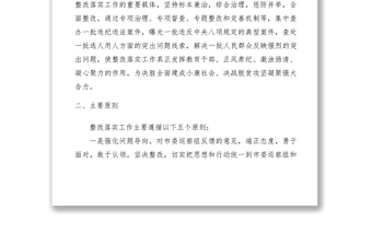 2021巡察反馈意见整改落实方案