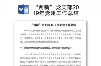 “两新”党支部2019年党建工作总结