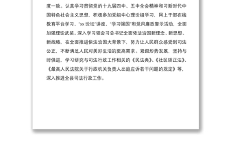 司法局局长2020年度述职述学述法述责述廉报告范文
