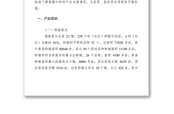 2021产业发展现状调研报告