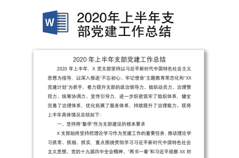 2020年上半年支部党建工作总结