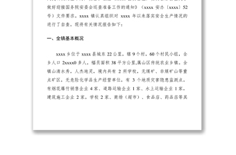 2021安全生产自查报告