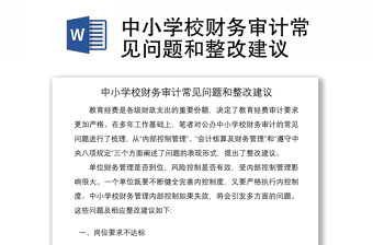 2021中小学校财务审计常见问题和整改建议
