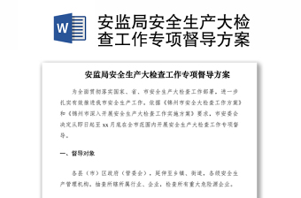 2021安监局安全生产大检查工作专项督导方案