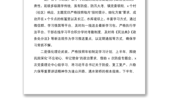 乡镇党委2020年度落实全面从严治党主体责任、营造良好政治生态情况报告范文