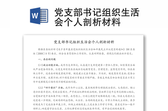 2023支部书记作班子剖析发言