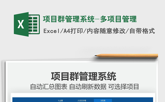 2021项目群管理系统-多项目管理免费下载