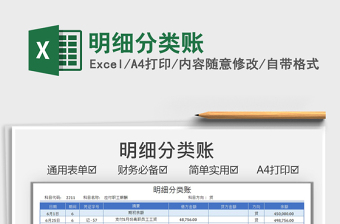 2021明细分类账免费下载