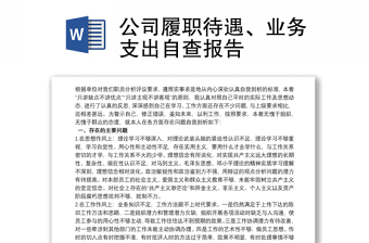 公司履职待遇、业务支出自查报告