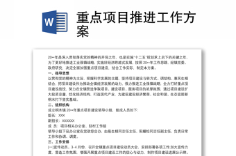 重点项目推进工作方案