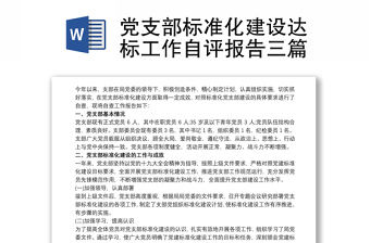 2023党建标准化自评总结