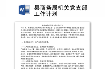 县商务局机关党支部工作计划