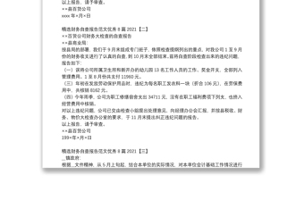 精选财务自查报告范文优秀8篇2021