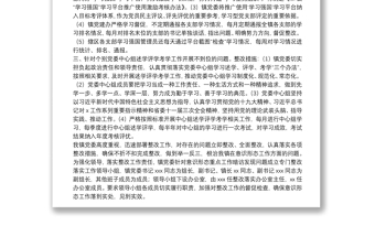 镇关于意识形态工作整改情况的报告