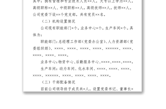 公司组织人事工作汇报