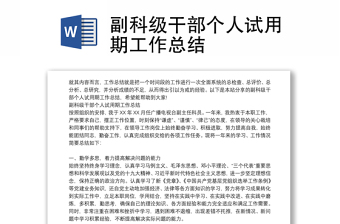 副科级干部个人试用期工作总结
