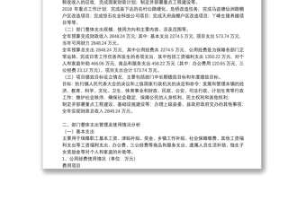 单位整体支出绩效监控报告