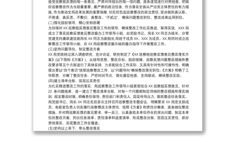 巡察整改成果运用情况报告三篇