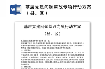 基层党建问题整改专项行动方案（县、区）