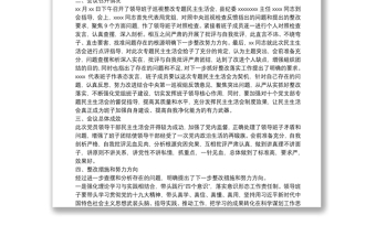 X局党组巡视整改专题民主生活会情况报告
