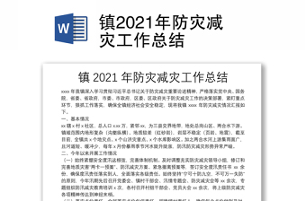 镇2021年防灾减灾工作总结