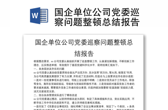 国企单位公司党委巡察问题整顿总结报告