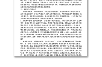 XX镇大源塘村党组织软弱涣散整改工作总结