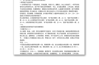 XX乡领导班子换届考察综合报告