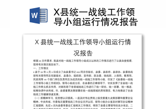 X县统一战线工作领导小组运行情况报告