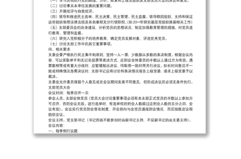 党支部会议记录格式