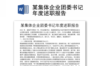 某集体企业团委书记年度述职报告