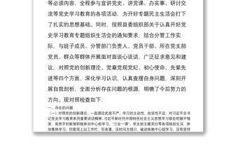 党员干部党史学习教育专题组织生活会“四个方面”个人对照检查材料 3