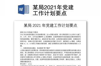 某局2021年党建工作计划要点