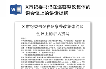 X市纪委书记在巡察整改集体约谈会议上的讲话提纲
