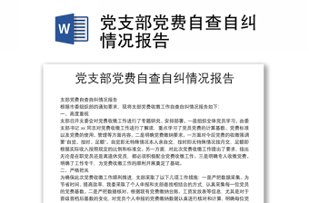 党支部党费自查自纠情况报告