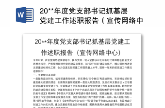 20**年度党支部书记抓基层党建工作述职报告（宣传网络中心）