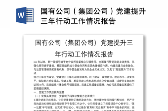 国有公司（集团公司）党建提升三年行动工作情况报告