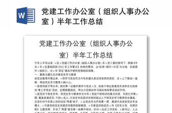 党建工作办公室（组织人事办公室）半年工作总结