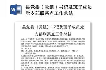 县党委（党组）书记及班子成员党支部联系点工作总结
