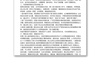 党小组组织生活会情况的报告