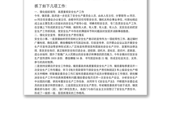 20**年度安全生产工作述职报告