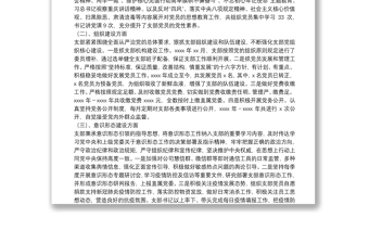 国有企业本届支部委员会工作情况总结