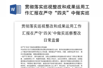 贯彻落实巡视整改和成果运用工作汇报在严守“四关”中做实巡察整改日常监督