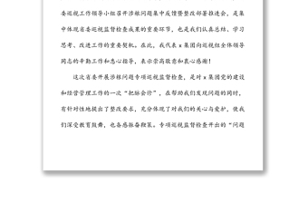 在集团涉粮问题专项巡视监督检查集中反馈暨整改部署推进会上的表态发言材料范文